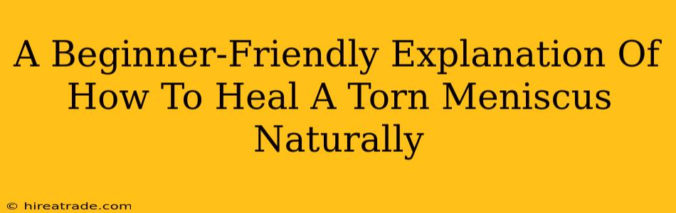A Beginner-Friendly Explanation Of How To Heal A Torn Meniscus Naturally