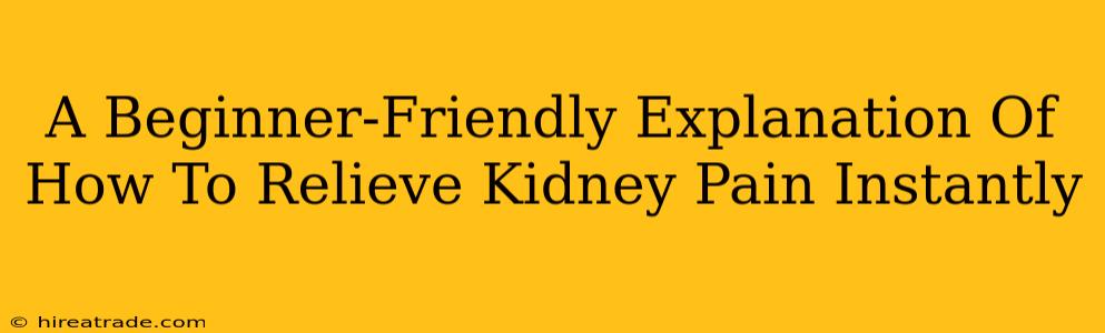 A Beginner-Friendly Explanation Of How To Relieve Kidney Pain Instantly
