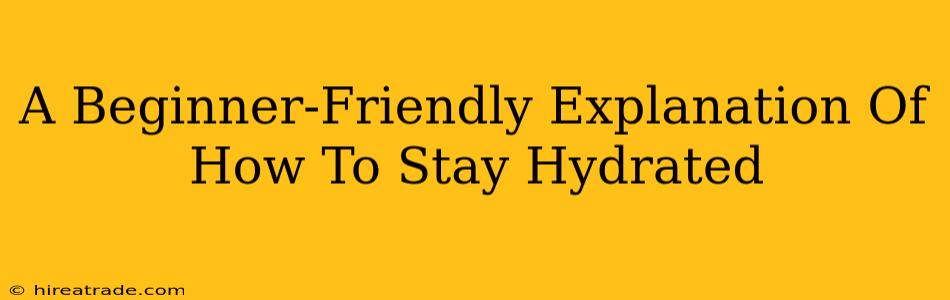 A Beginner-Friendly Explanation Of How To Stay Hydrated