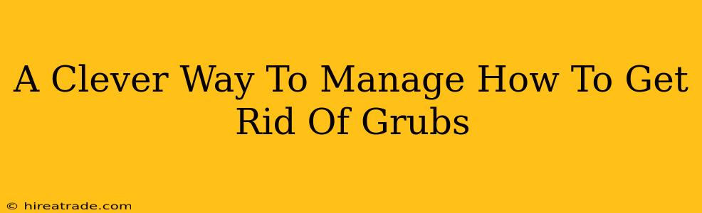 A Clever Way To Manage How To Get Rid Of Grubs