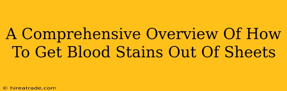 A Comprehensive Overview Of How To Get Blood Stains Out Of Sheets