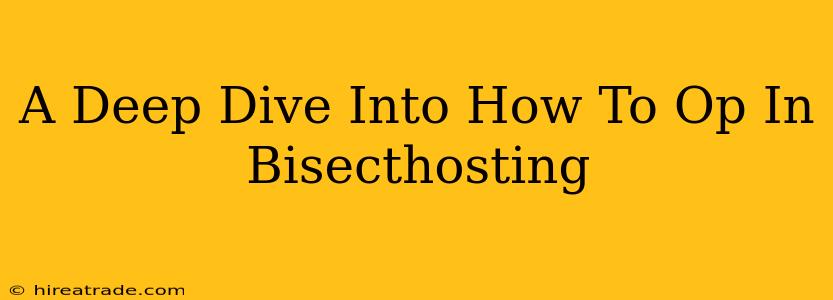 A Deep Dive Into How To Op In Bisecthosting