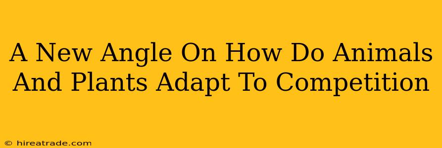 A New Angle On How Do Animals And Plants Adapt To Competition