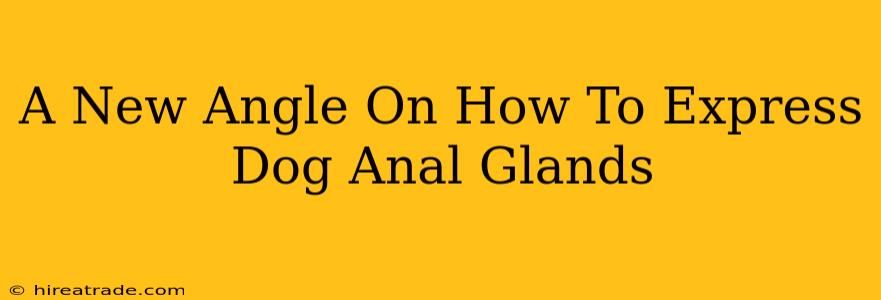 A New Angle On How To Express Dog Anal Glands