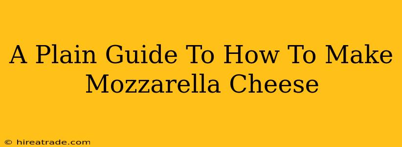 A Plain Guide To How To Make Mozzarella Cheese