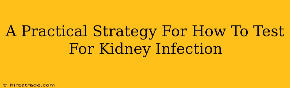 A Practical Strategy For How To Test For Kidney Infection