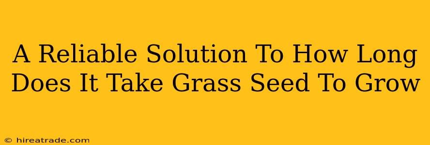 A Reliable Solution To How Long Does It Take Grass Seed To Grow