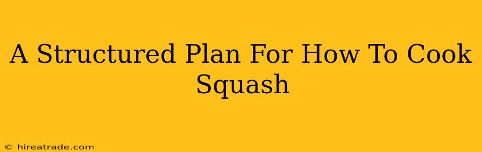 A Structured Plan For How To Cook Squash