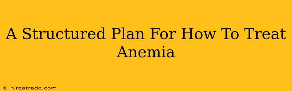 A Structured Plan For How To Treat Anemia