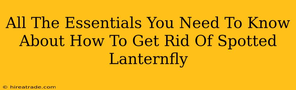 All The Essentials You Need To Know About How To Get Rid Of Spotted Lanternfly