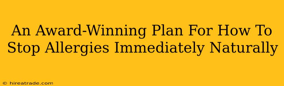 An Award-Winning Plan For How To Stop Allergies Immediately Naturally