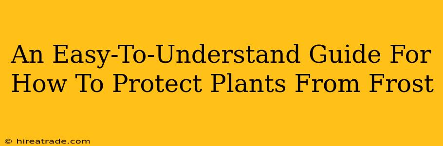 An Easy-To-Understand Guide For How To Protect Plants From Frost