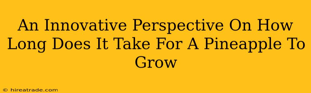 An Innovative Perspective On How Long Does It Take For A Pineapple To Grow