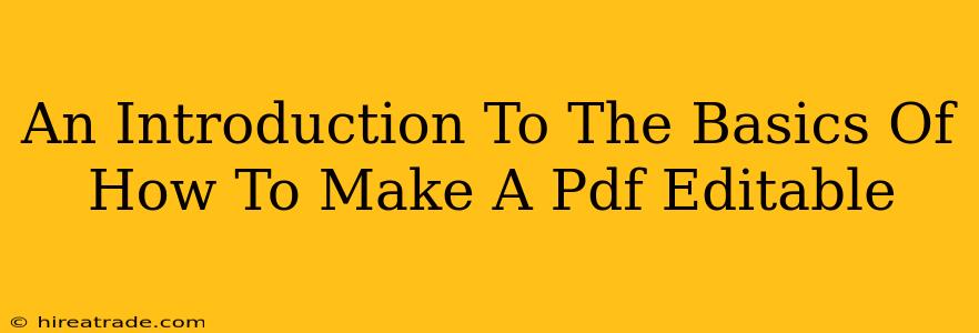 An Introduction To The Basics Of How To Make A Pdf Editable