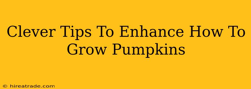 Clever Tips To Enhance How To Grow Pumpkins
