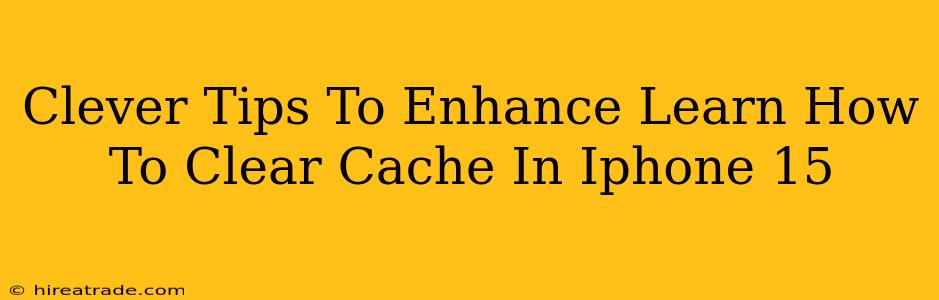 Clever Tips To Enhance Learn How To Clear Cache In Iphone 15