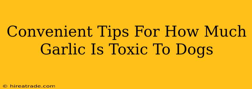 Convenient Tips For How Much Garlic Is Toxic To Dogs