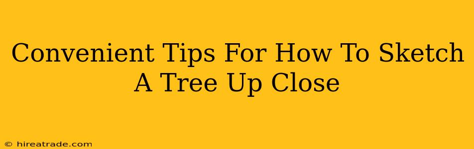 Convenient Tips For How To Sketch A Tree Up Close