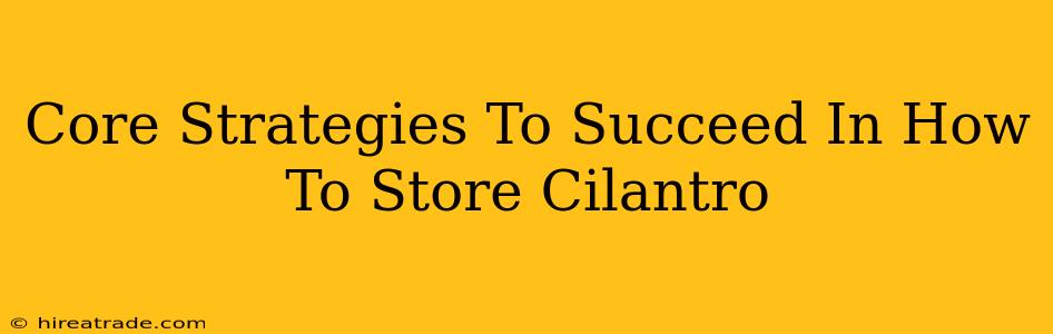 Core Strategies To Succeed In How To Store Cilantro