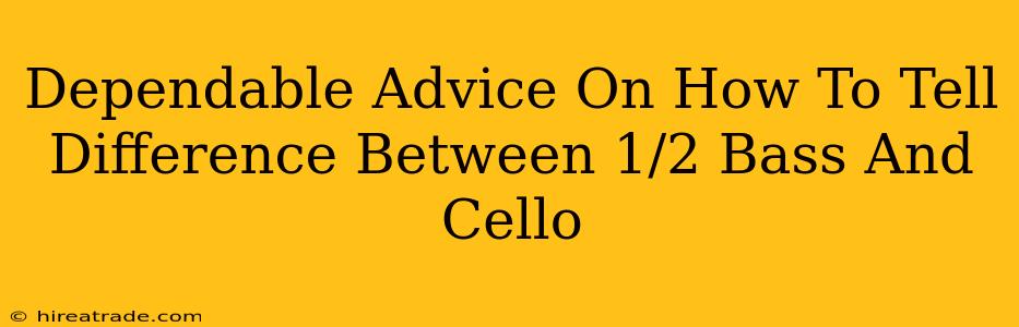 Dependable Advice On How To Tell Difference Between 1/2 Bass And Cello