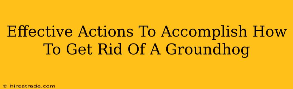Effective Actions To Accomplish How To Get Rid Of A Groundhog