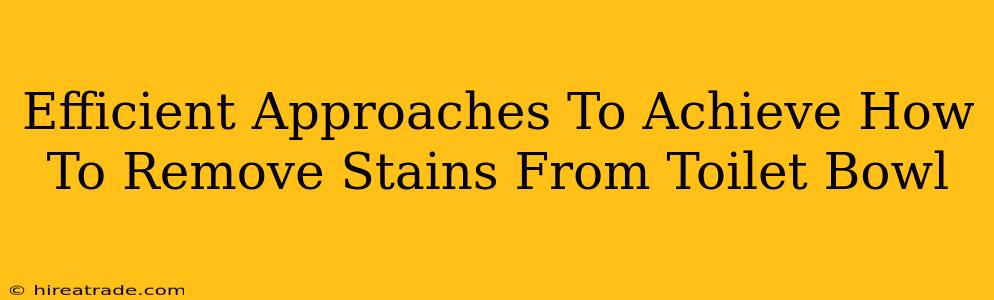 Efficient Approaches To Achieve How To Remove Stains From Toilet Bowl