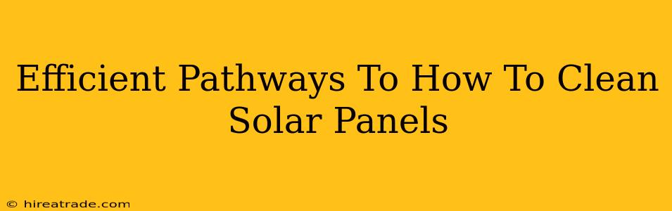 Efficient Pathways To How To Clean Solar Panels