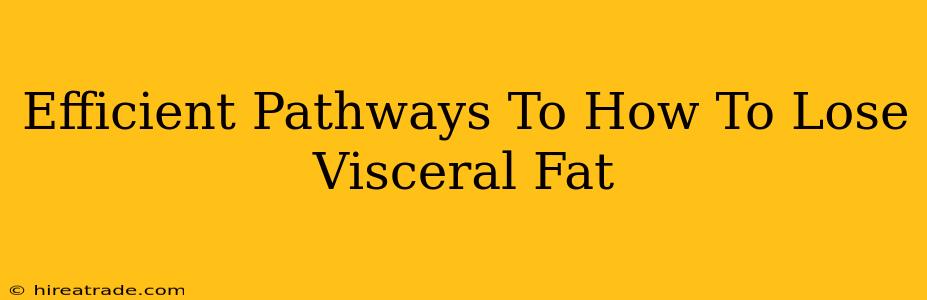 Efficient Pathways To How To Lose Visceral Fat