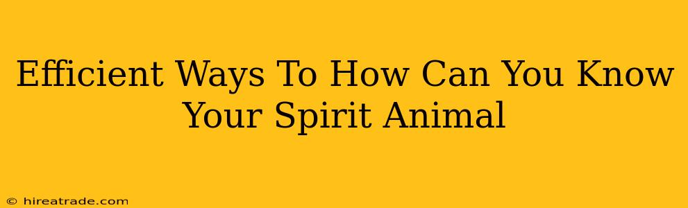 Efficient Ways To How Can You Know Your Spirit Animal