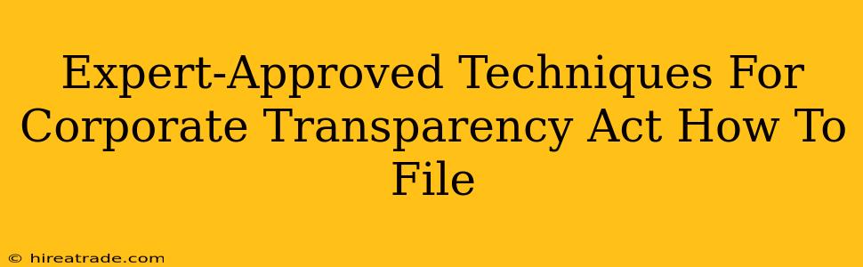 Expert-Approved Techniques For Corporate Transparency Act How To File