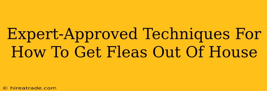 Expert-Approved Techniques For How To Get Fleas Out Of House