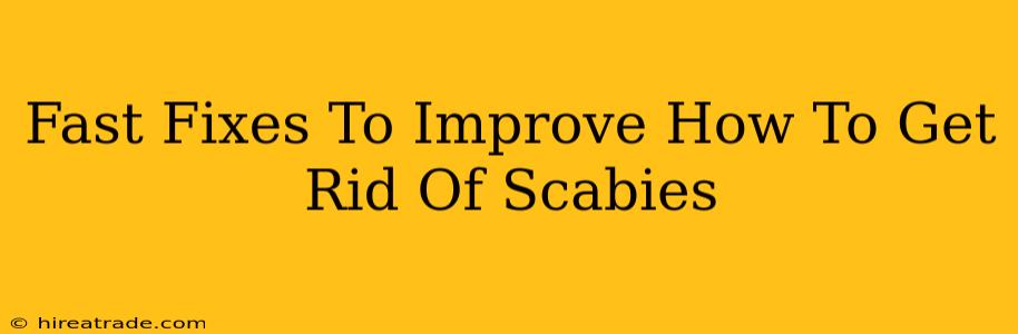 Fast Fixes To Improve How To Get Rid Of Scabies