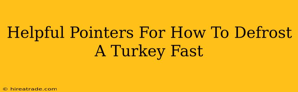 Helpful Pointers For How To Defrost A Turkey Fast