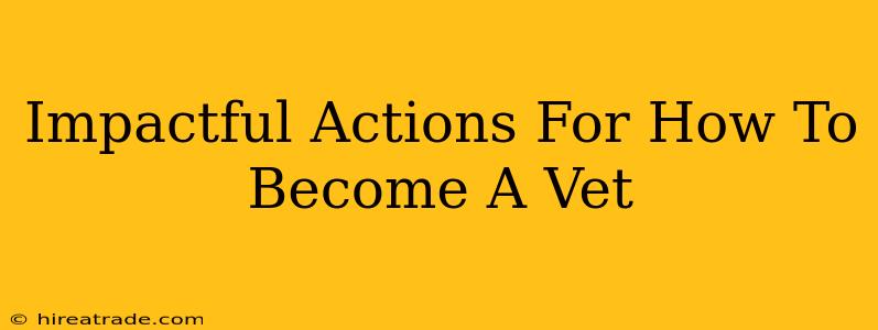 Impactful Actions For How To Become A Vet