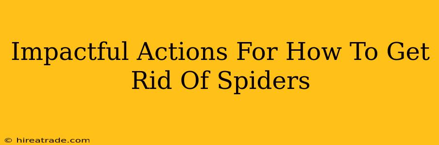 Impactful Actions For How To Get Rid Of Spiders