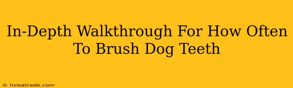In-Depth Walkthrough For How Often To Brush Dog Teeth