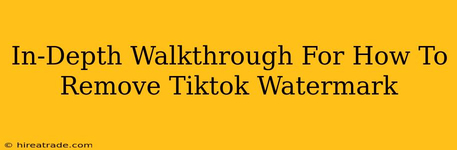In-Depth Walkthrough For How To Remove Tiktok Watermark