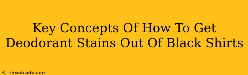 Key Concepts Of How To Get Deodorant Stains Out Of Black Shirts