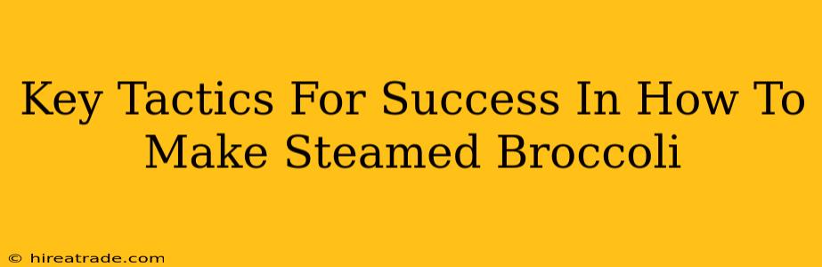 Key Tactics For Success In How To Make Steamed Broccoli