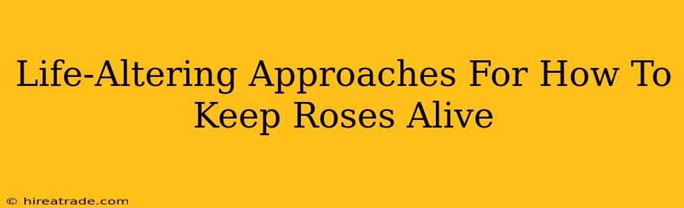 Life-Altering Approaches For How To Keep Roses Alive