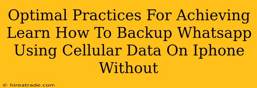 Optimal Practices For Achieving Learn How To Backup Whatsapp Using Cellular Data On Iphone Without