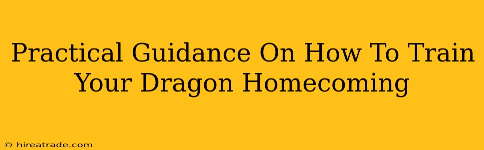 Practical Guidance On How To Train Your Dragon Homecoming