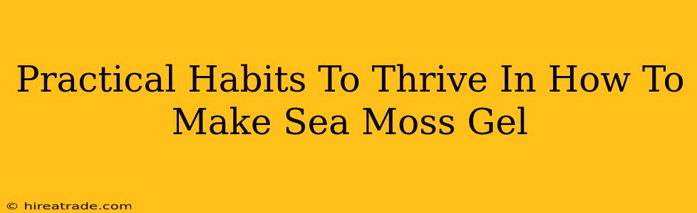 Practical Habits To Thrive In How To Make Sea Moss Gel