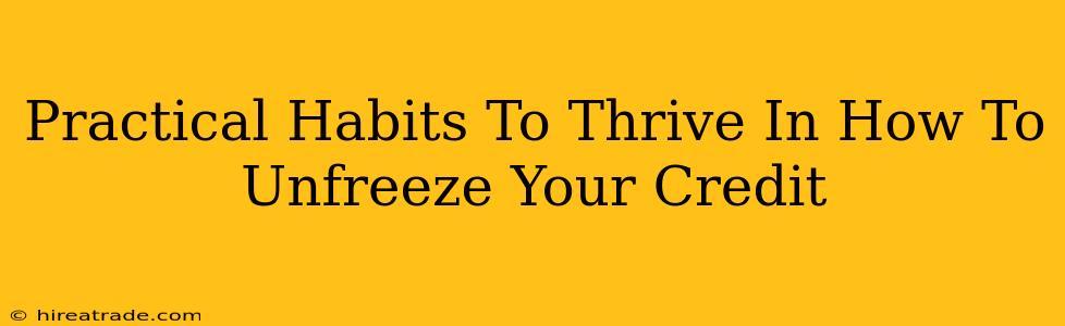 Practical Habits To Thrive In How To Unfreeze Your Credit