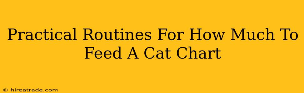 Practical Routines For How Much To Feed A Cat Chart