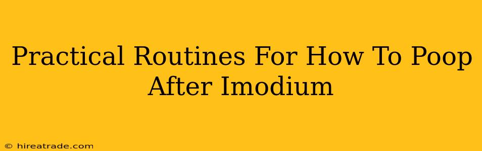 Practical Routines For How To Poop After Imodium