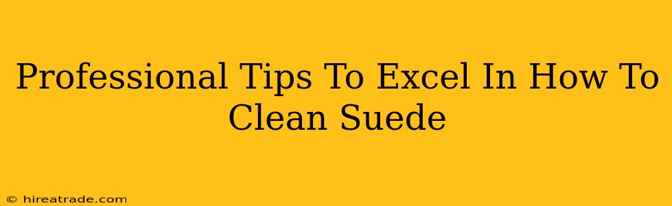 Professional Tips To Excel In How To Clean Suede