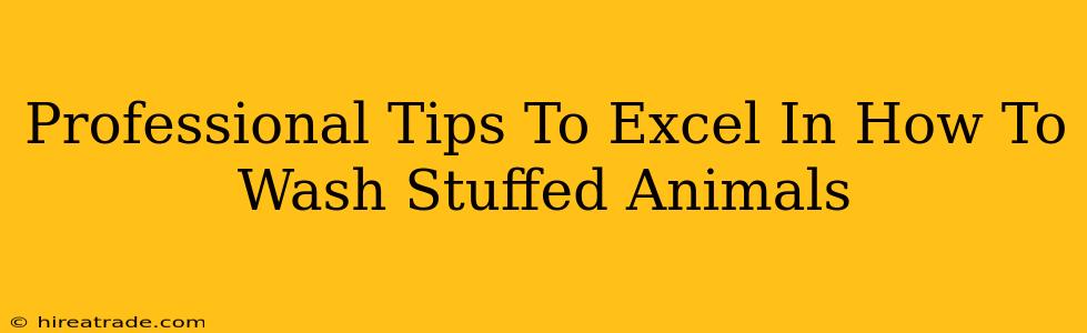 Professional Tips To Excel In How To Wash Stuffed Animals