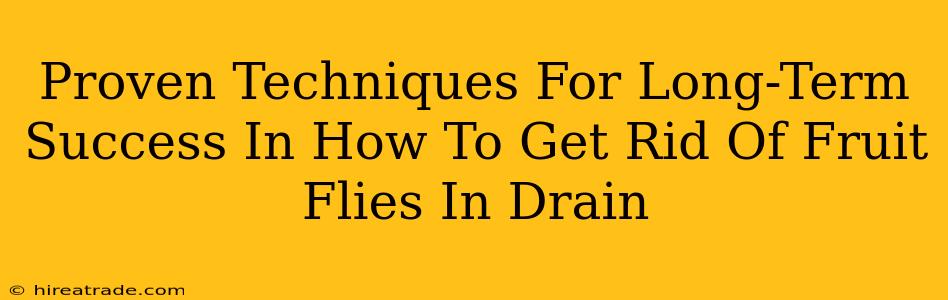 Proven Techniques For Long-Term Success In How To Get Rid Of Fruit Flies In Drain