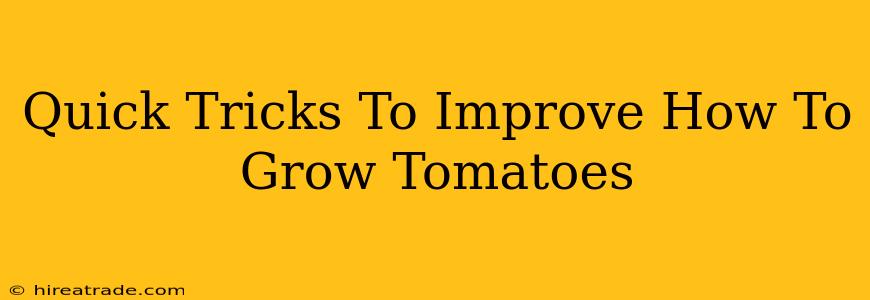 Quick Tricks To Improve How To Grow Tomatoes